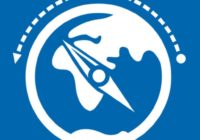 Отзывы о компании International Business